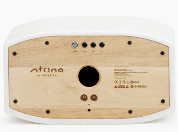 Stone Acoustic ACST01